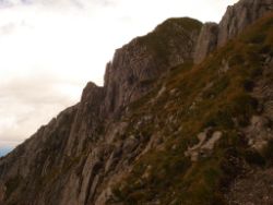 2013-09-08_6Falkenh-Steinfalk (184).JPG